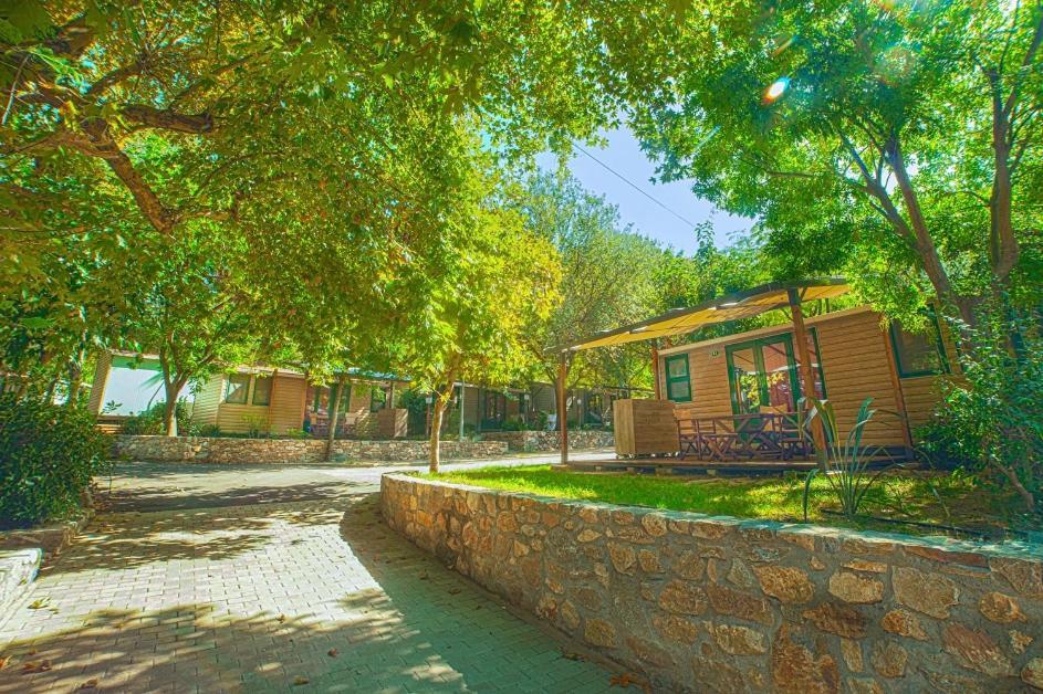 סארטי Armenistis Camping & Bungalows מראה חיצוני תמונה